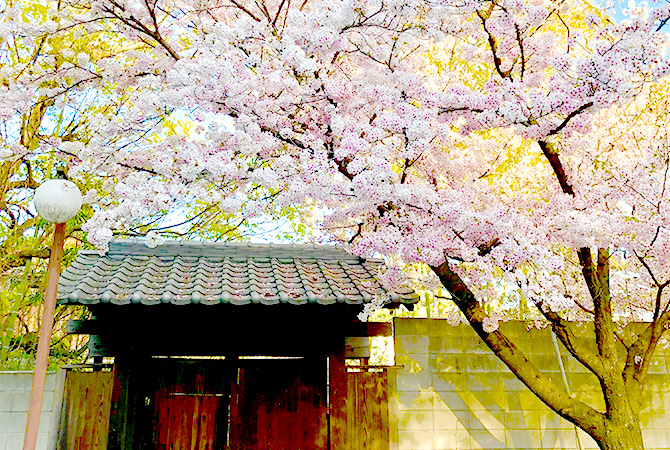 香川県おすすめmap 鎌田グループ リクルートサイト